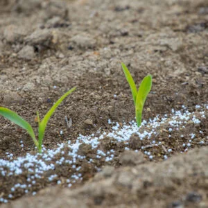 Fertilizer CRF